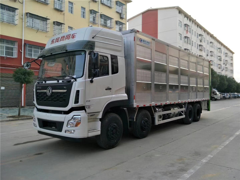DFC5310XCQA1雛禽運輸車(chē) 